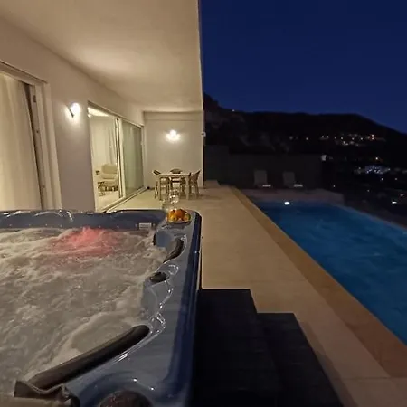 Panoramic With A Pool 別荘