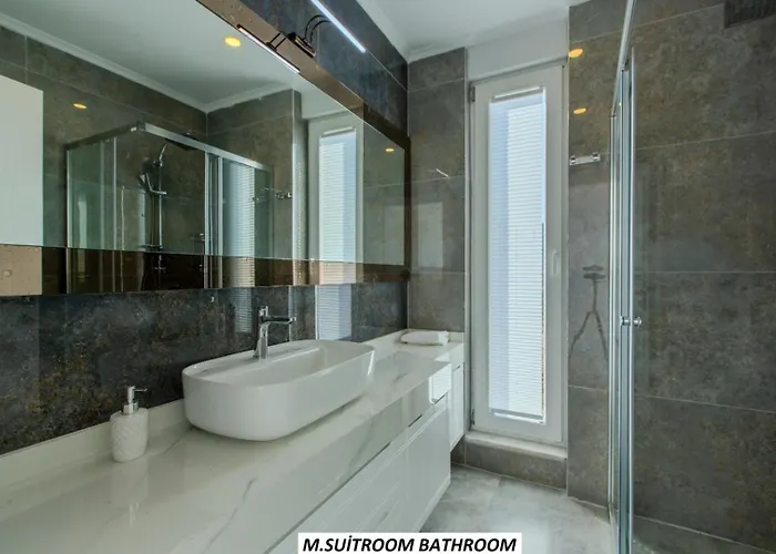 Panoramic With A Pool *