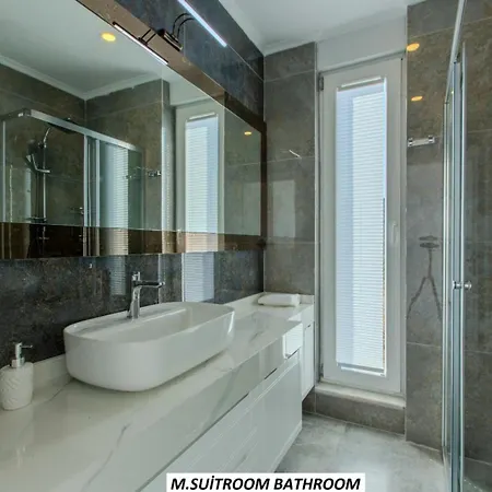 Panoramic With A Pool *